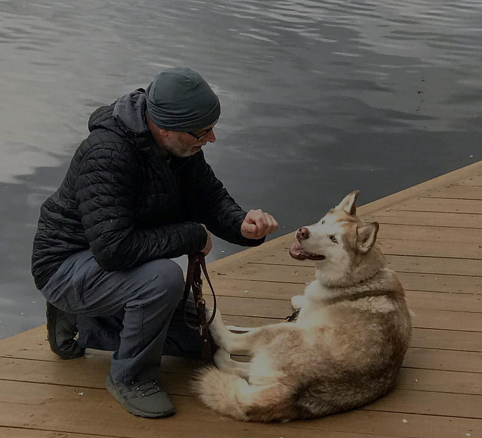 Dogbedience dog obedience training near me Reston, VA, USA