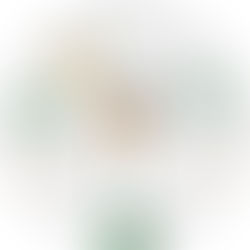 Tax Installments: HST, Income Tax