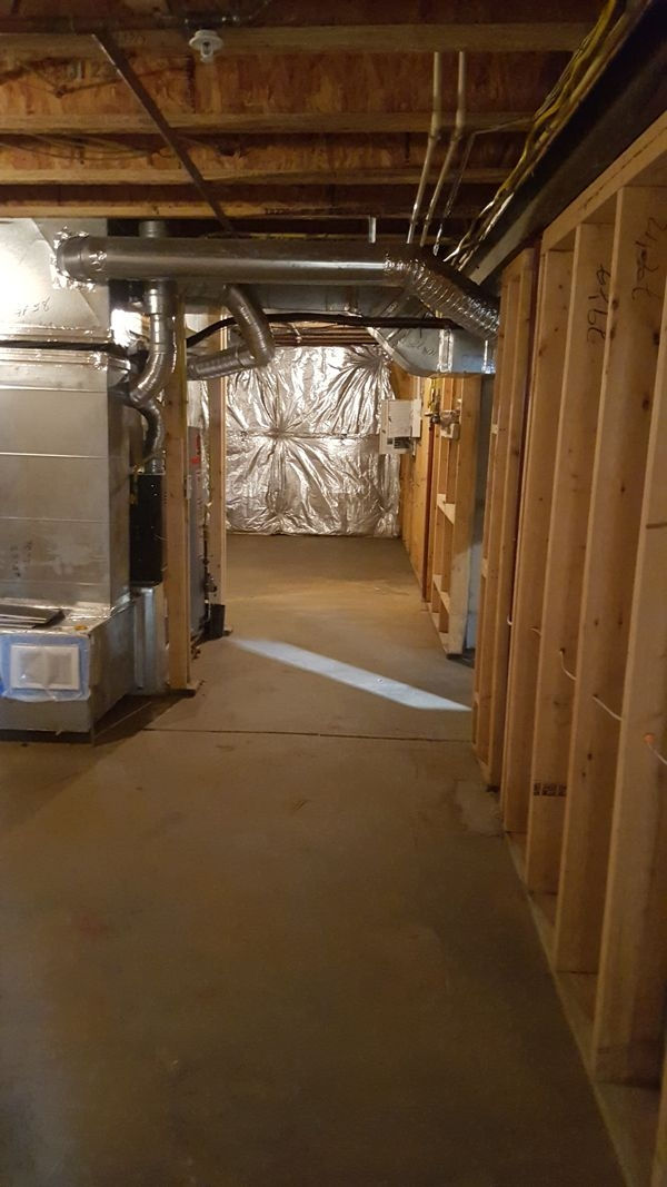 After Mold Remediation.