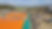 bgImage.jpg