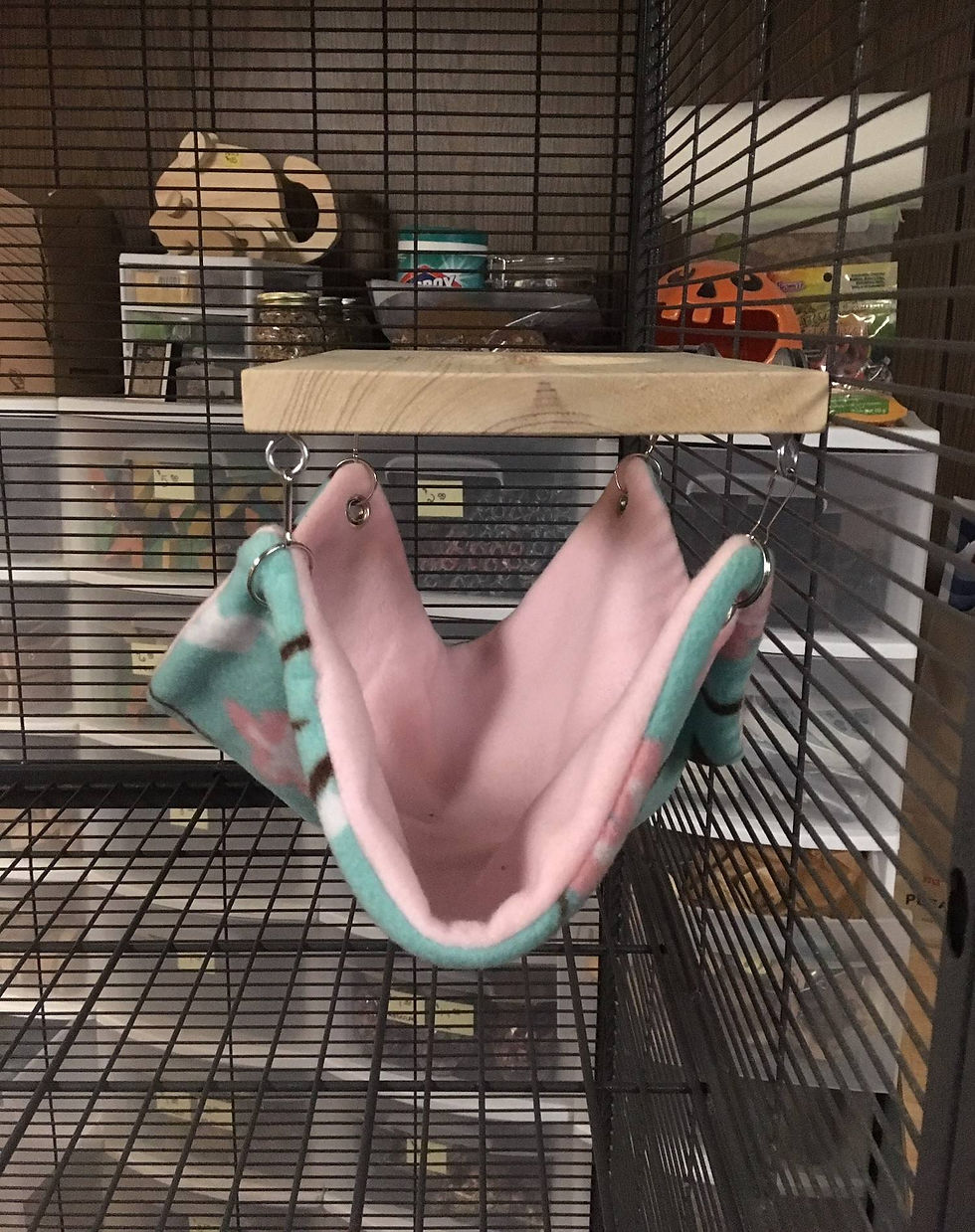 Thumbnail: Hammock Shelf