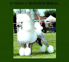 Track 3. Masters Testing Module