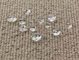 protection, Carpet cleaning, service, command steemers,Old Town North, Old Town, Braddock Road Metro, King Street Metro Eisenhower Ave, Northeast Alexandria, Southwest Quadrant, Potomac West, Bradlee, North Ridge Rosemont, Potomac Yard