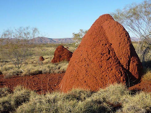 original?tenant=vbu-digital