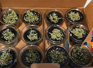 LIGHT UP THE DARKNESS AUTISM EDITION