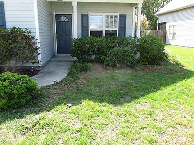 flower bed needs mulch