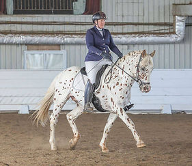 Pyx dressage