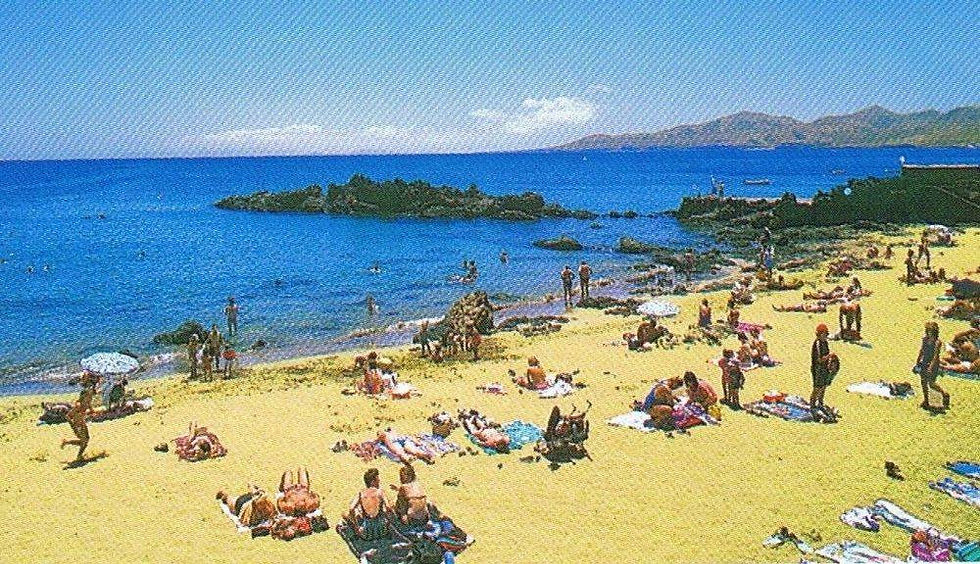 original?tenant=vbu-digital