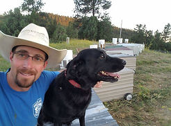 original?tenant=vbu-digital