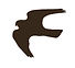 The silhouette of a kestrel
