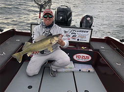 A beautiful Walleye