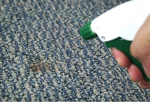 Pre Stain treating carpet