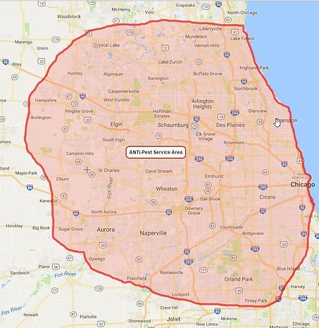 original?tenant=vbu-digital