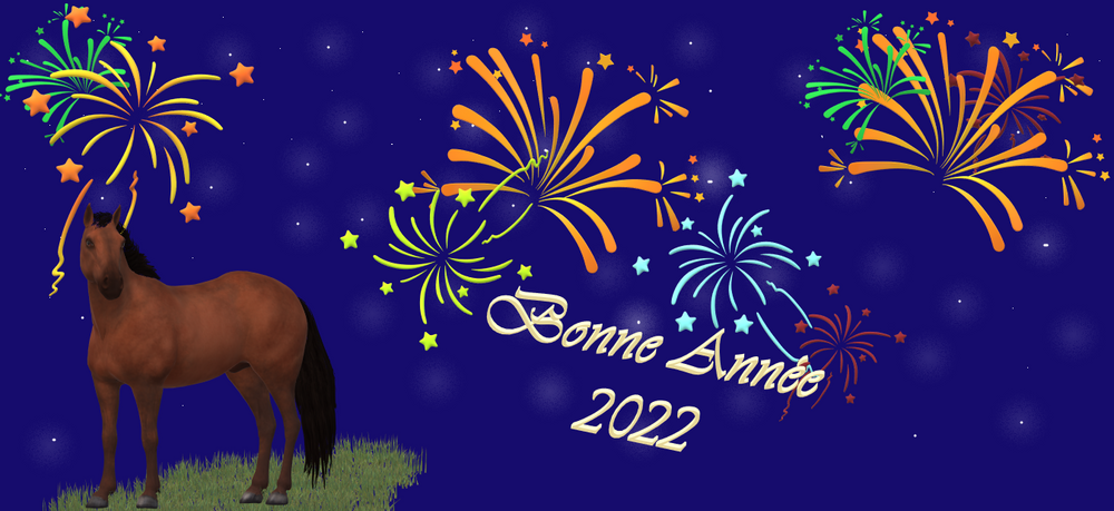 Les vœux de L'Amitié pour l'année 2022