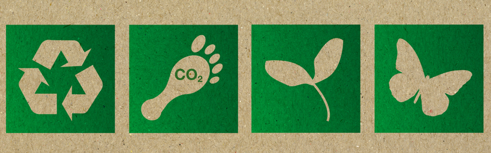 Eco Friendly Pacific Steam Carpet Cleaning