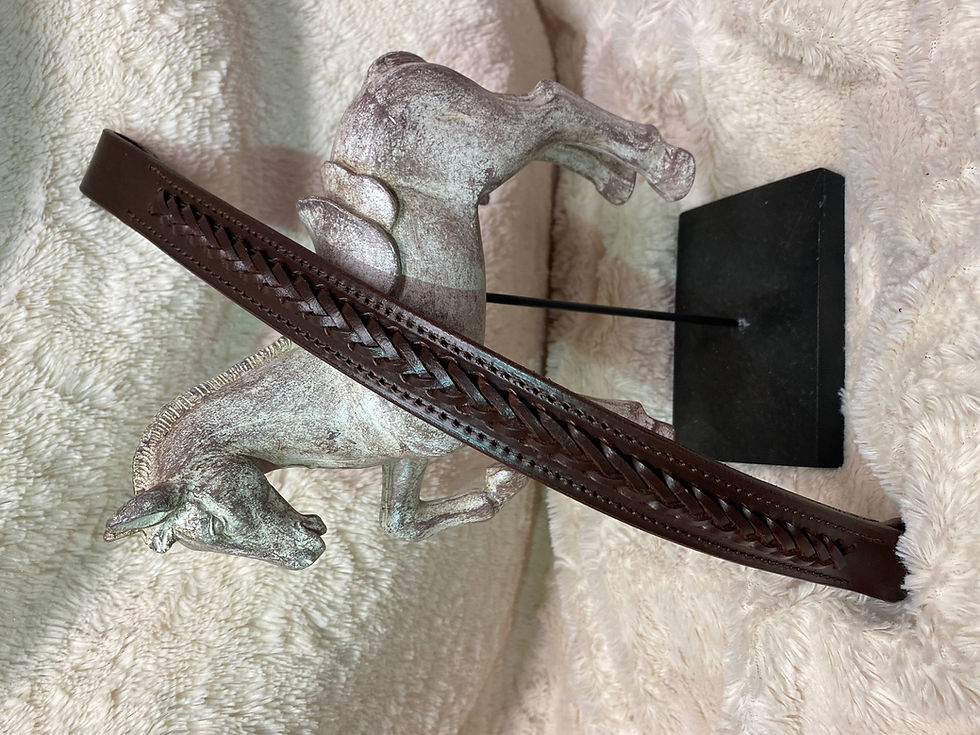 Thumbnail: Braided Leather Browbands