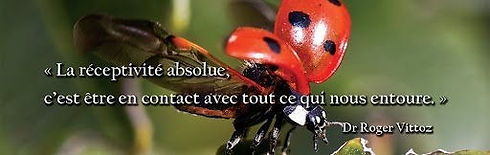 original?tenant=vbu-digital