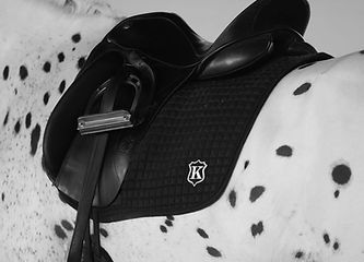 Saddle