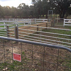 Sheep yards Sugar Gum Farm