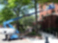original?tenant=vbu-digital