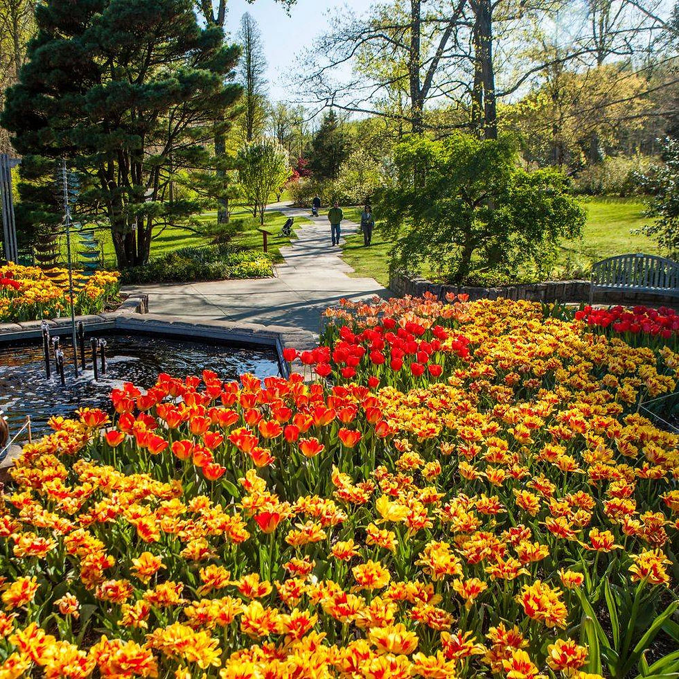 Lawn Care Hudson Qc