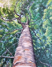 Acrylic Original Painting called Only God Can Make a Tree (2022) by Donna Liguria is looking up a large tree trunk. Nature Art