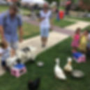 Zootopia with goat - set up 