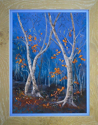 Silver Birch