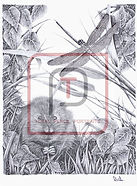 original?tenant=vbu-digital