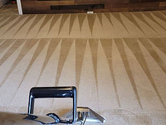 Prince Frederick md, carpet, cleaning, service, near me, by me, oxi fresh, stanley steemers
