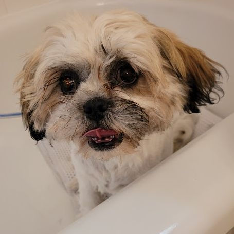 original?tenant=vbu-digital