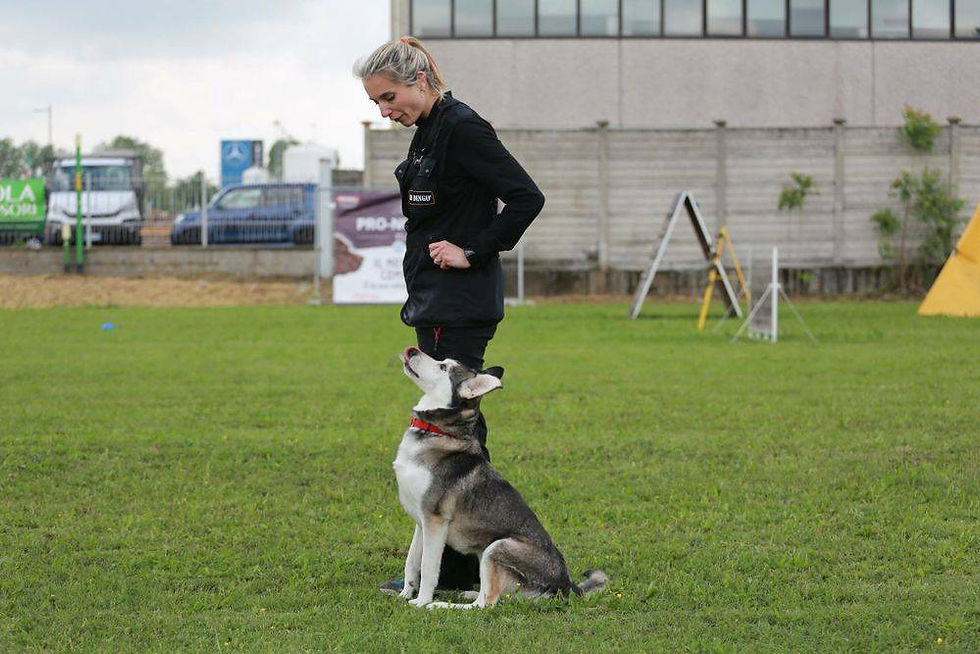 original?tenant=vbu-digital