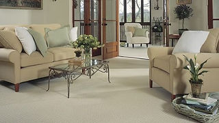 Upholstey and Lounge Cleaning
