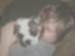 bgImage.jpg