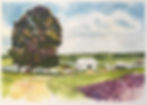 original?tenant=vbu-digital