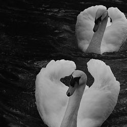 Bok Tower Gardens - Florida Gardens - Gainesville, FL