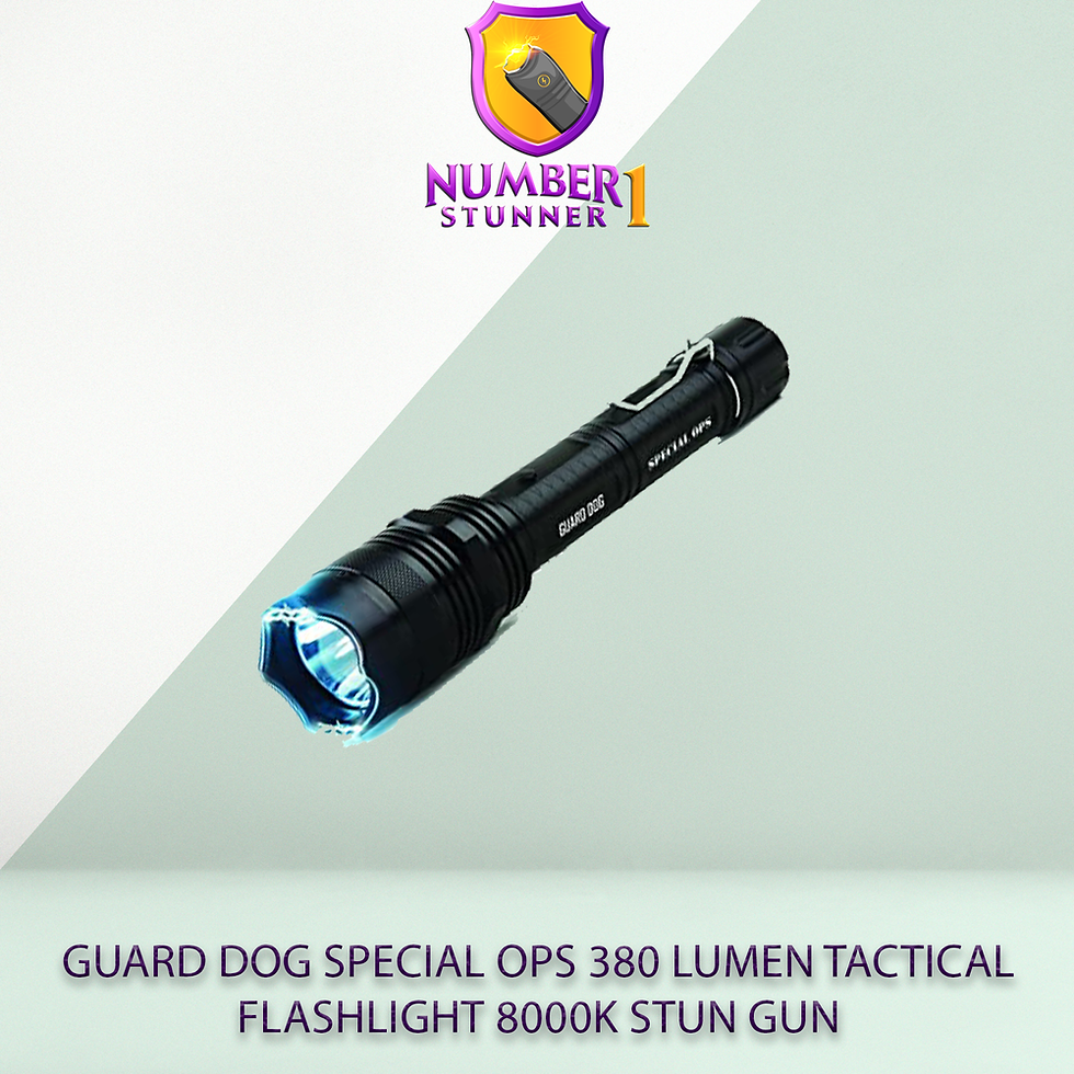 SURVIVOR High Voltage Rechargeable STUN GUN with LED