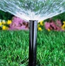 original?tenant=vbu-digital