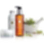Eminence Mircogreens collection, stonecrop