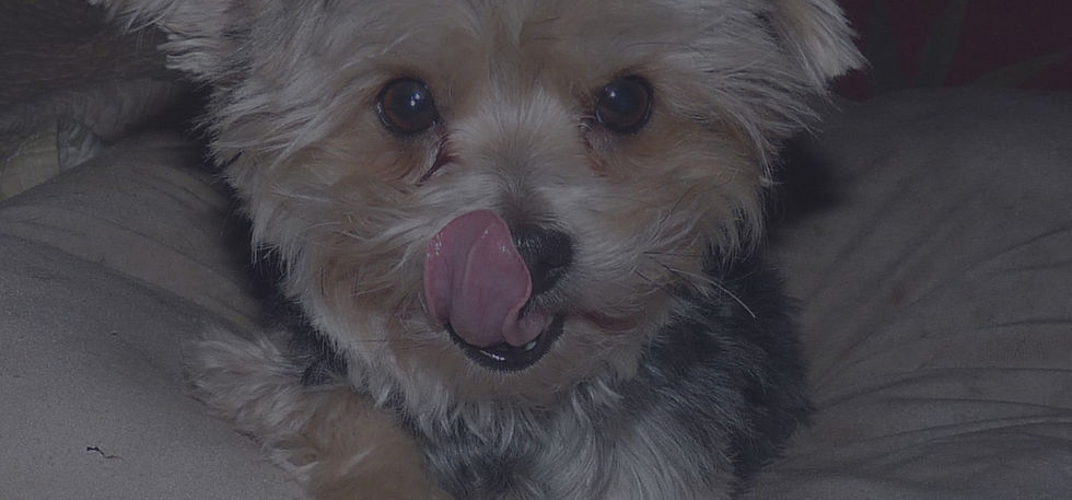 bgImage