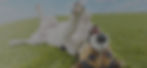 bgImage.jpg