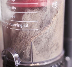 Gross Bagless Vacuum chamber