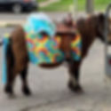 Pony dressed like mermaid