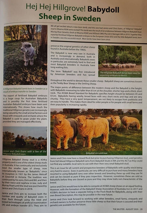 A magazine report on Hillgrove Embryos sent to Sweden