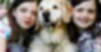 bgImage