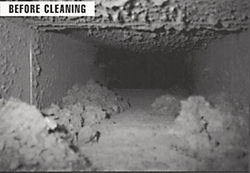 germs live in air ducts and dust contains allergens and dust mites