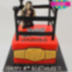 Custom Wrestling WWE Milwaukee