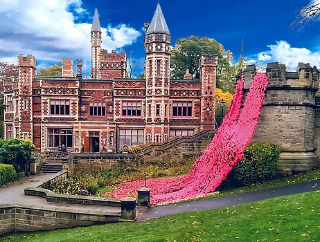 Poppies displayed in Saltwell Park Gateshead