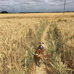 original?tenant=vbu-digital