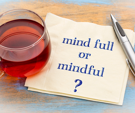 Mindfulness therapy and skills training